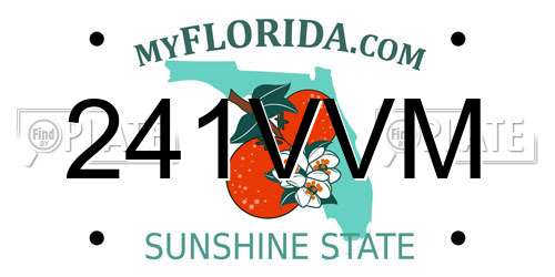 241VVM Florida License Plate