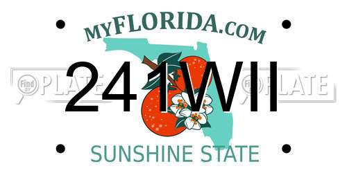 241WII Florida License Plate