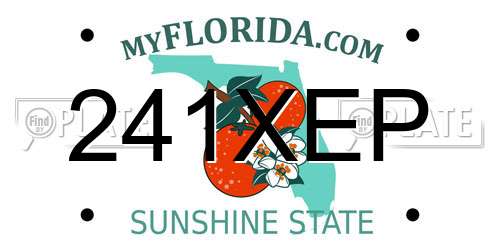 241XEP Florida License Plate