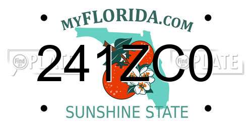 241ZC0 Florida License Plate