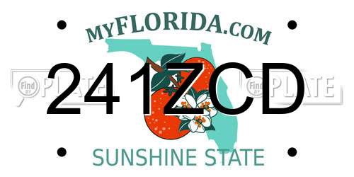241ZCD Florida License Plate