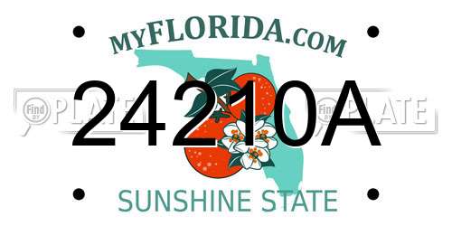24210A Florida License Plate