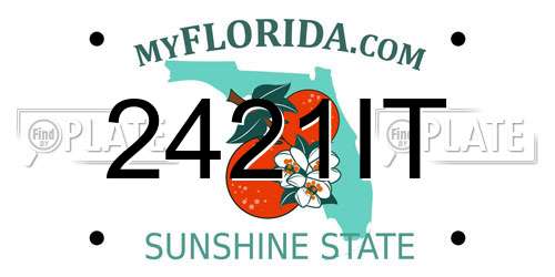 2421IT Florida License Plate