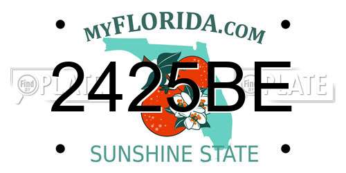 2425BE Florida License Plate