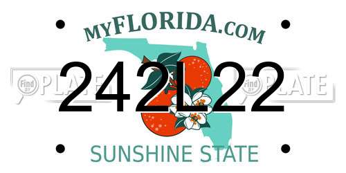 242L22 Florida License Plate