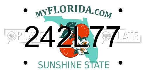 242L77 Florida License Plate