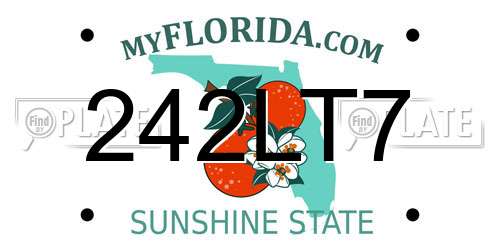 242LT7 Florida License Plate