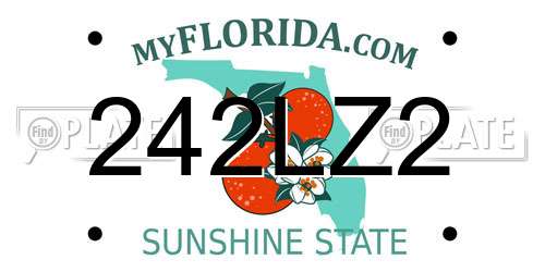242LZ2 Florida License Plate