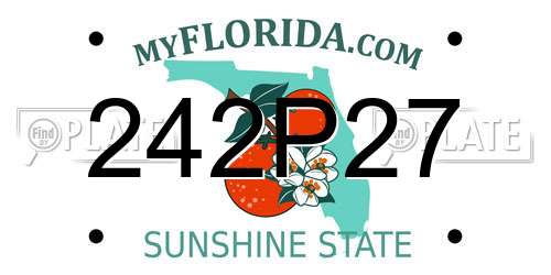 242P27 Florida License Plate