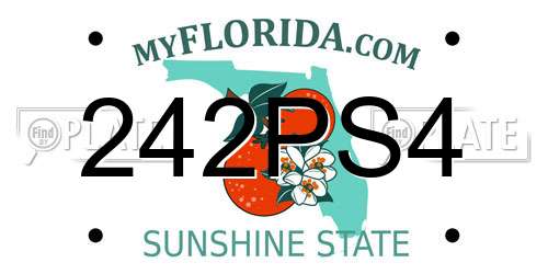 242PS4 Florida License Plate