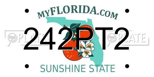 242PT2 Florida License Plate