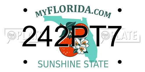 242PT7 Florida License Plate