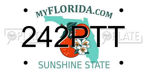 242PTT Florida License Plate