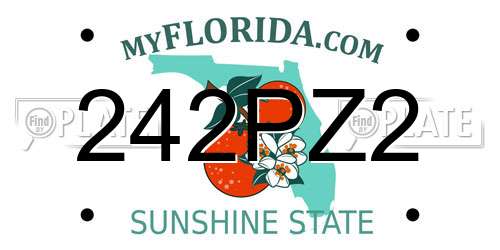 242PZ2 Florida License Plate