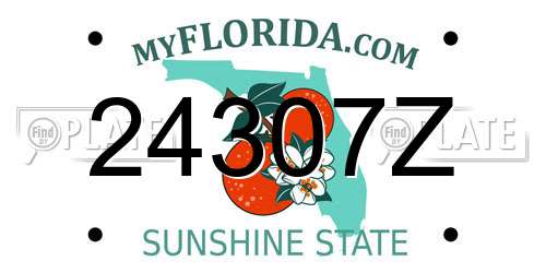 24307Z Florida License Plate