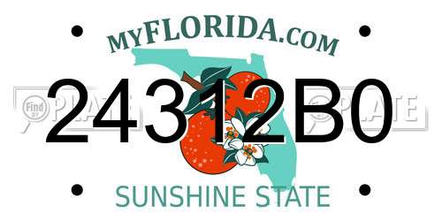24312B0 Florida License Plate