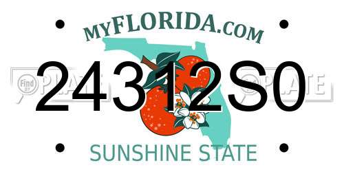 24312S0 Florida License Plate