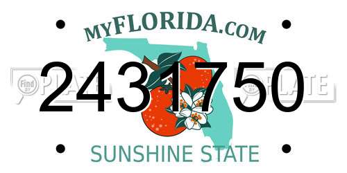 2431750 Florida License Plate