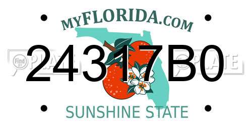 24317B0 Florida License Plate