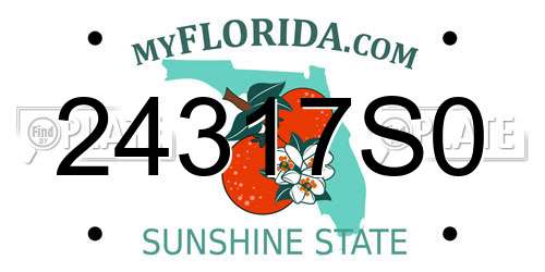 24317S0 Florida License Plate