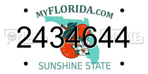 2434644 Florida License Plate