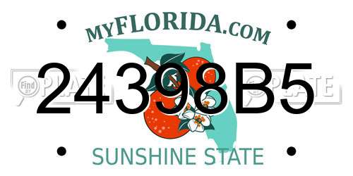 24398B5 Florida License Plate