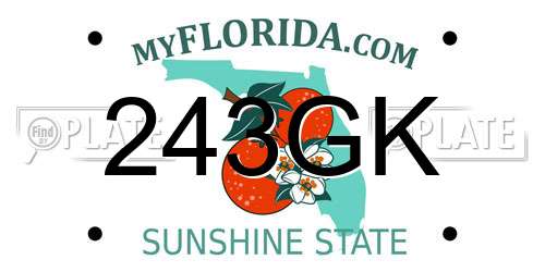 243GK Florida License Plate