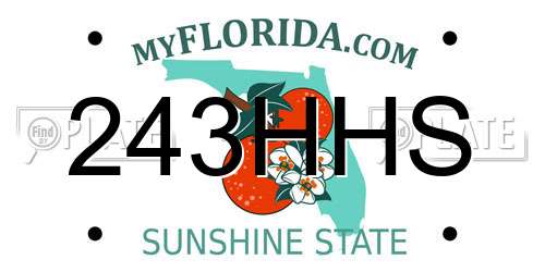 243HHS Florida License Plate
