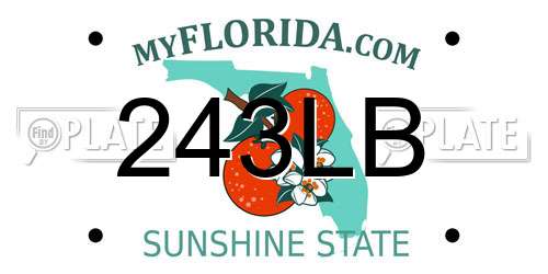 243LB Florida License Plate