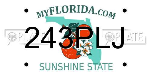 243PLJ Florida License Plate