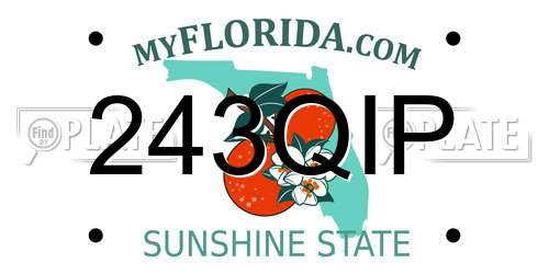 243QIP Florida License Plate