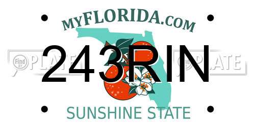 243RIN Florida License Plate