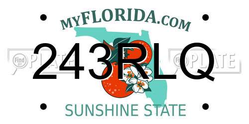 243RLQ Florida License Plate