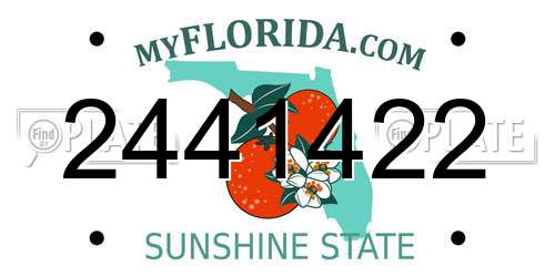 2441422 Florida License Plate