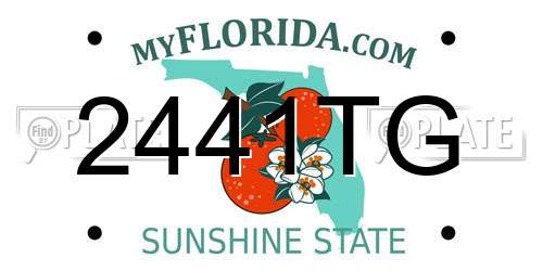 2441TG Florida License Plate