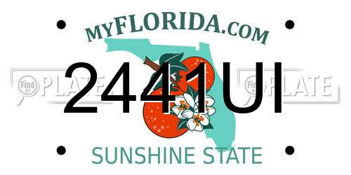 2441UI Florida License Plate