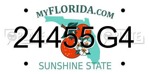 24455G4 Florida License Plate