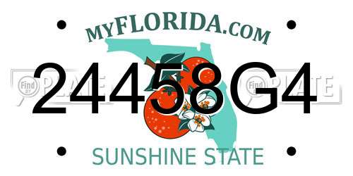 24458G4 Florida License Plate