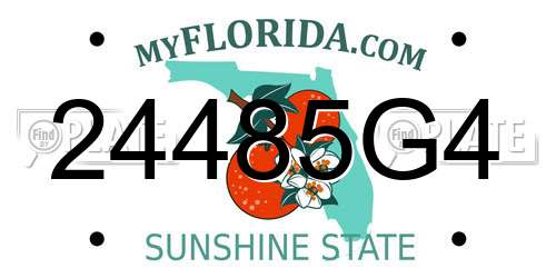 24485G4 Florida License Plate