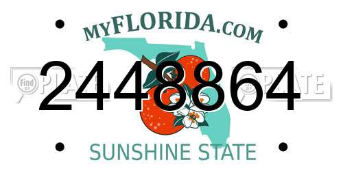2448864 Florida License Plate