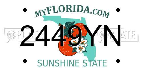 2449YN Florida License Plate