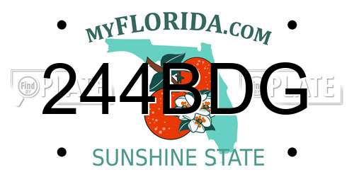 244BDG Florida License Plate