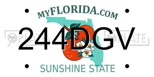 244DGV Florida License Plate