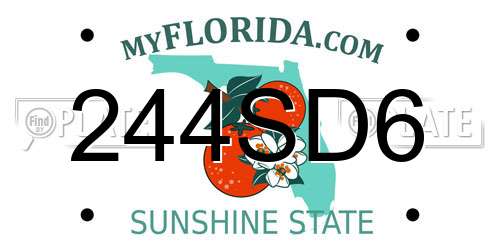 244SD6 Florida License Plate