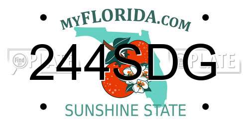 244SDG Florida License Plate