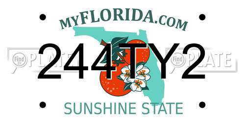 244TY2 Florida License Plate