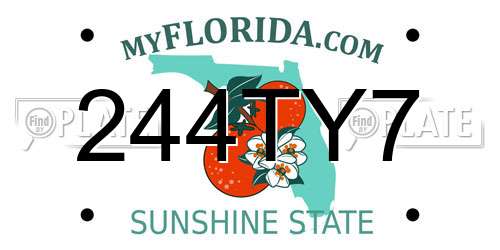 244TY7 Florida License Plate
