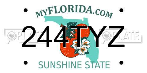 244TYZ Florida License Plate