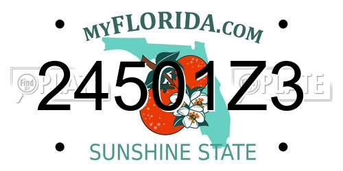 24501Z3 Florida License Plate