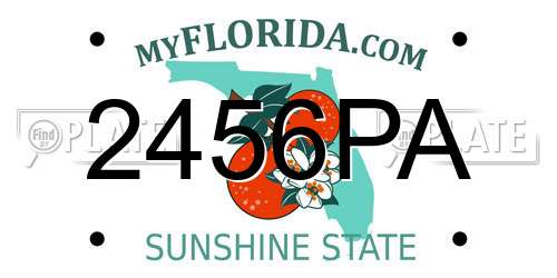 2456PA Florida License Plate